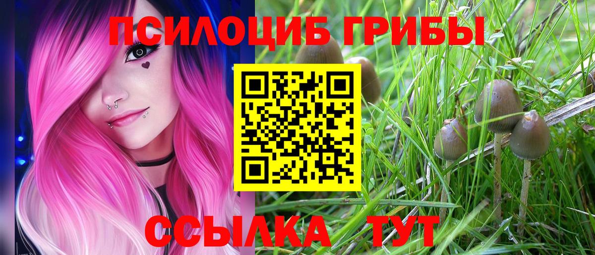 Мценск  Галлюциногенные грибы мухоморы  Вход с VPN 