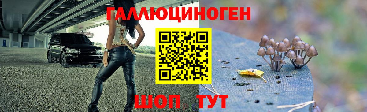 Галлюциногенные грибы мухоморы Мценск